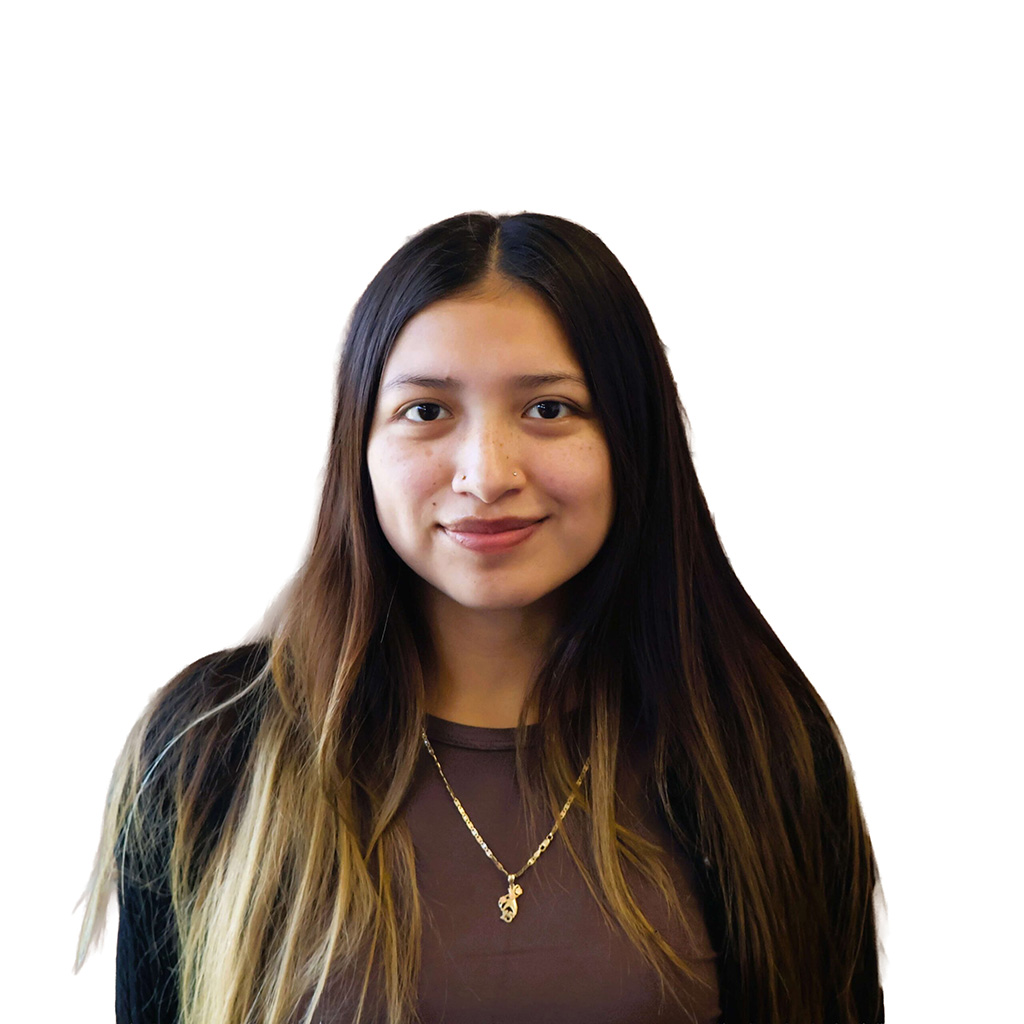 Proveedor de Aprendizaje Infantil Sustituto